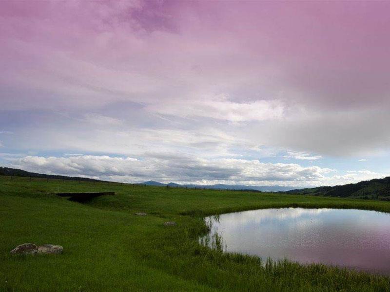 Montana
